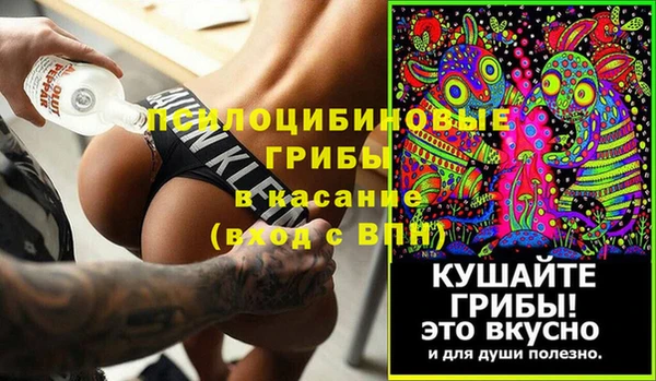 кокс Касимов