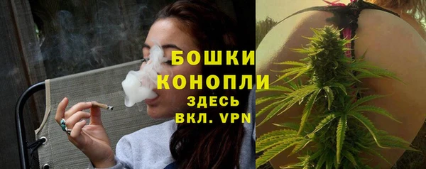 кокс Касимов