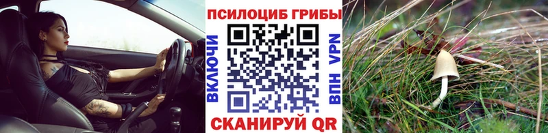 Псилоцибиновые грибы мицелий  Купить закладки  Пионерский 